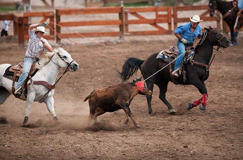 Rodeo_792x522